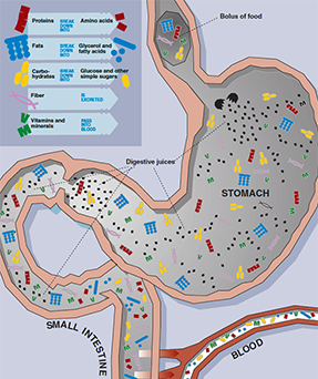 Map design by Nancy Wirsig McClure