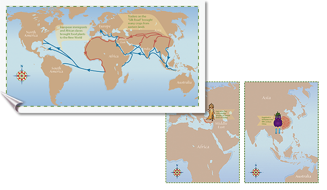 Map design by Nancy Wirsig McClure